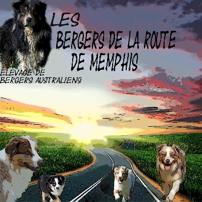 De La Route De Memphis